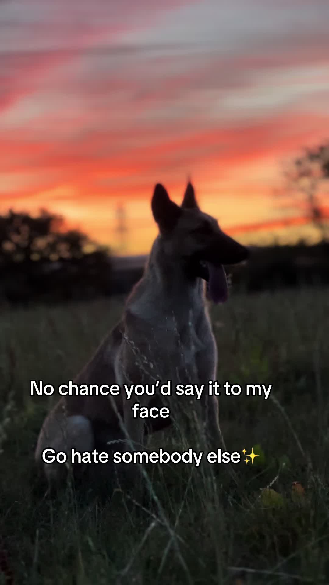 @Alicia🫶🫧