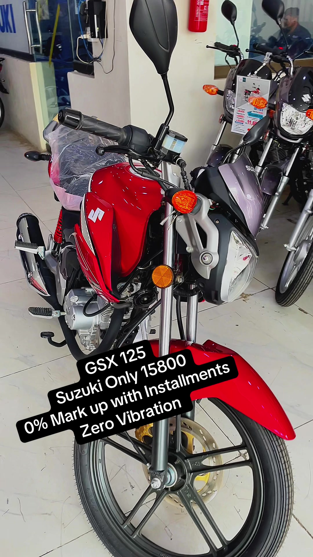 @Suzuki Vibes