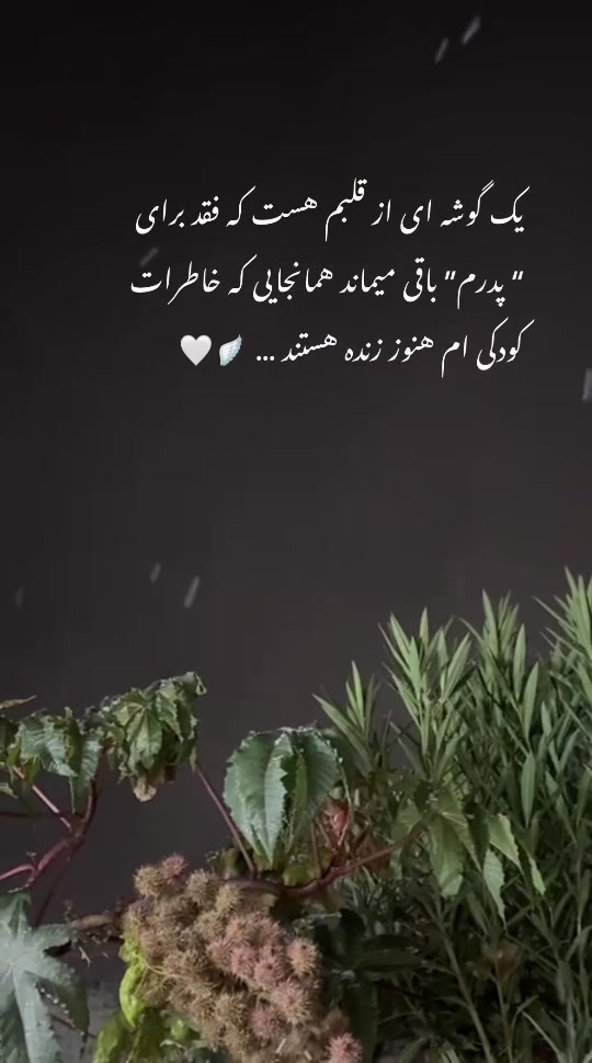 @🖤🥀