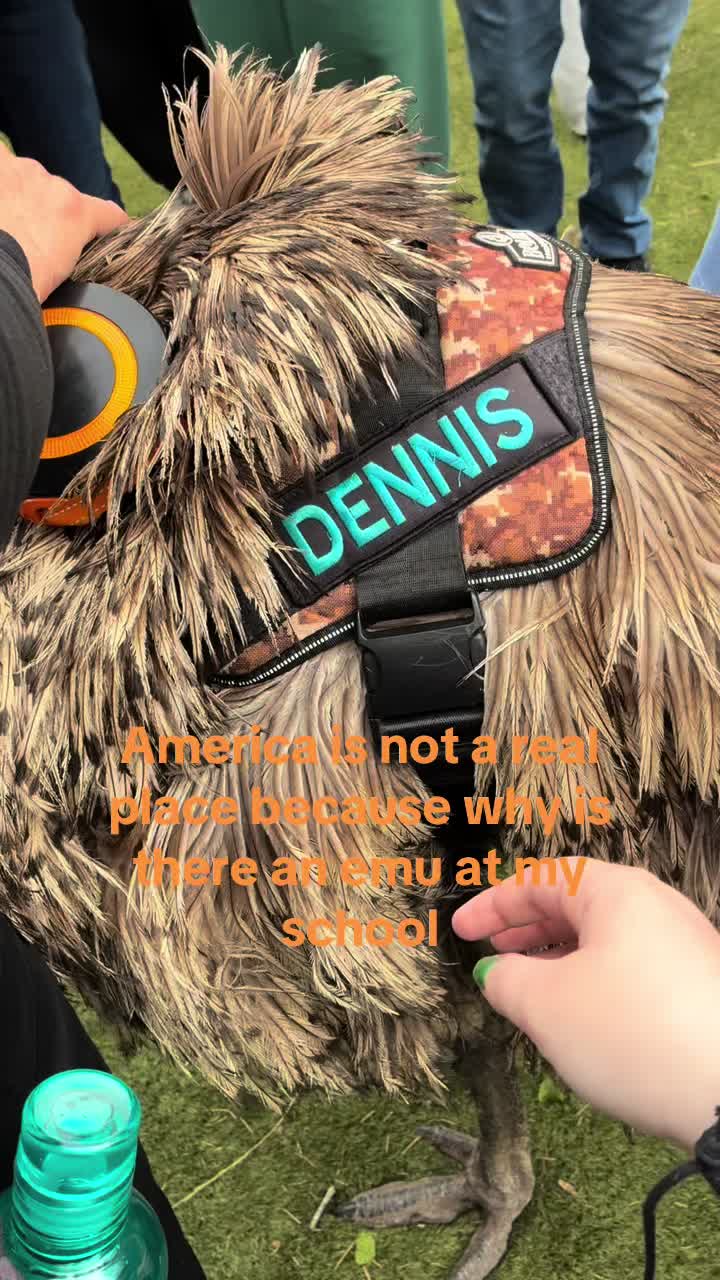@Vincent🗯️