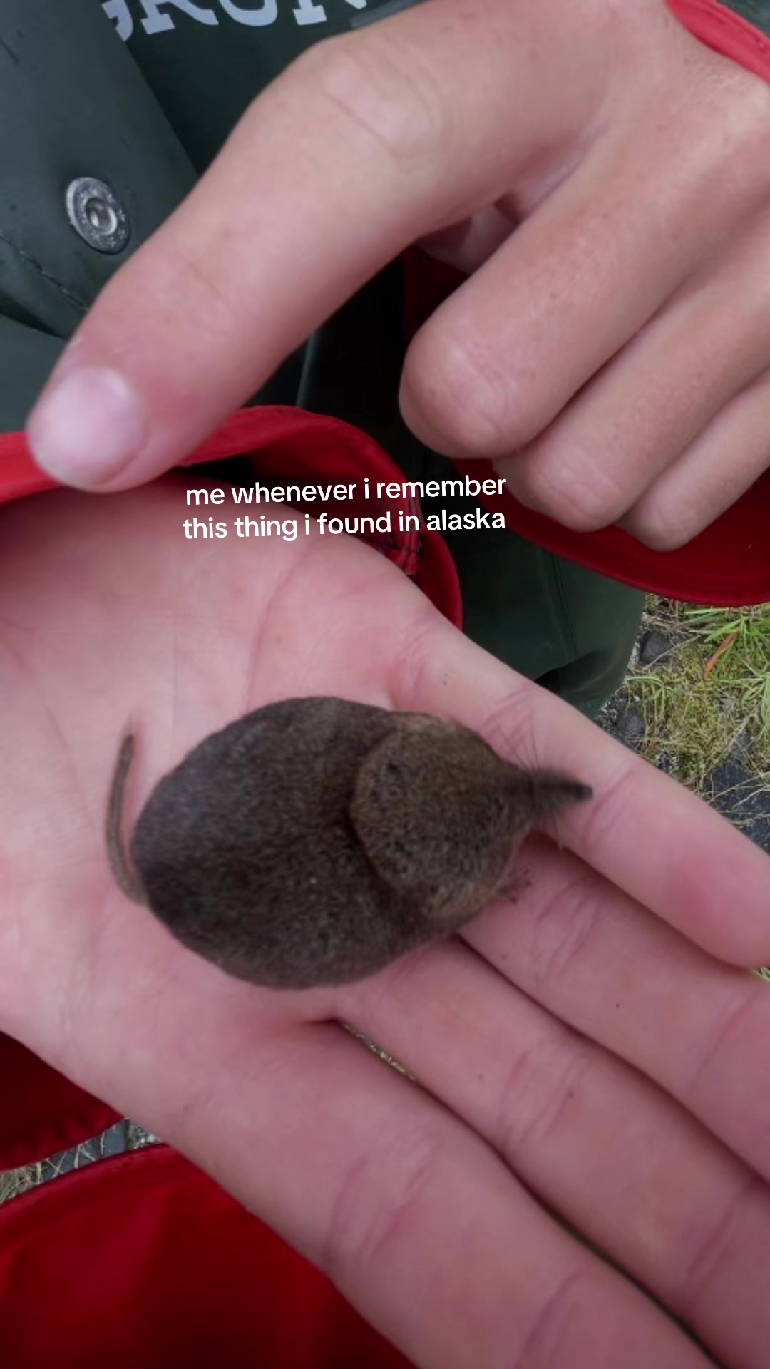 @Serena 🐒