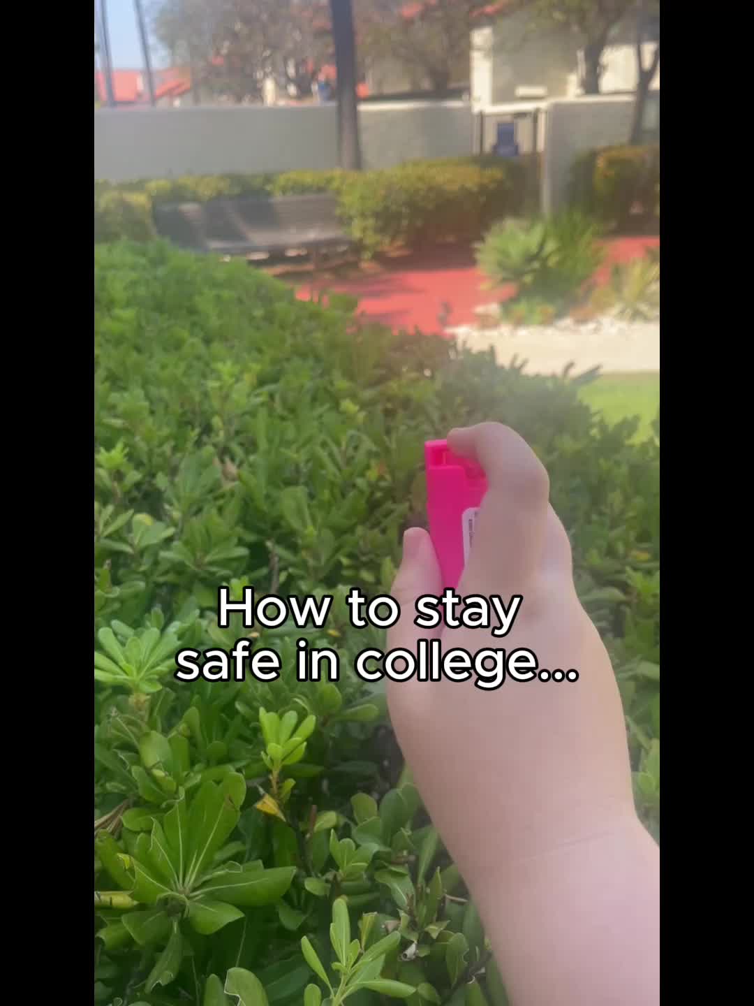 @Ashley Porter