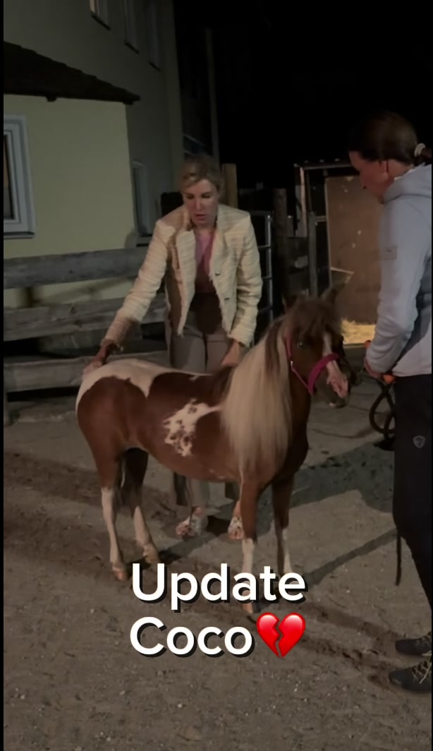 @julia_libertyhorses