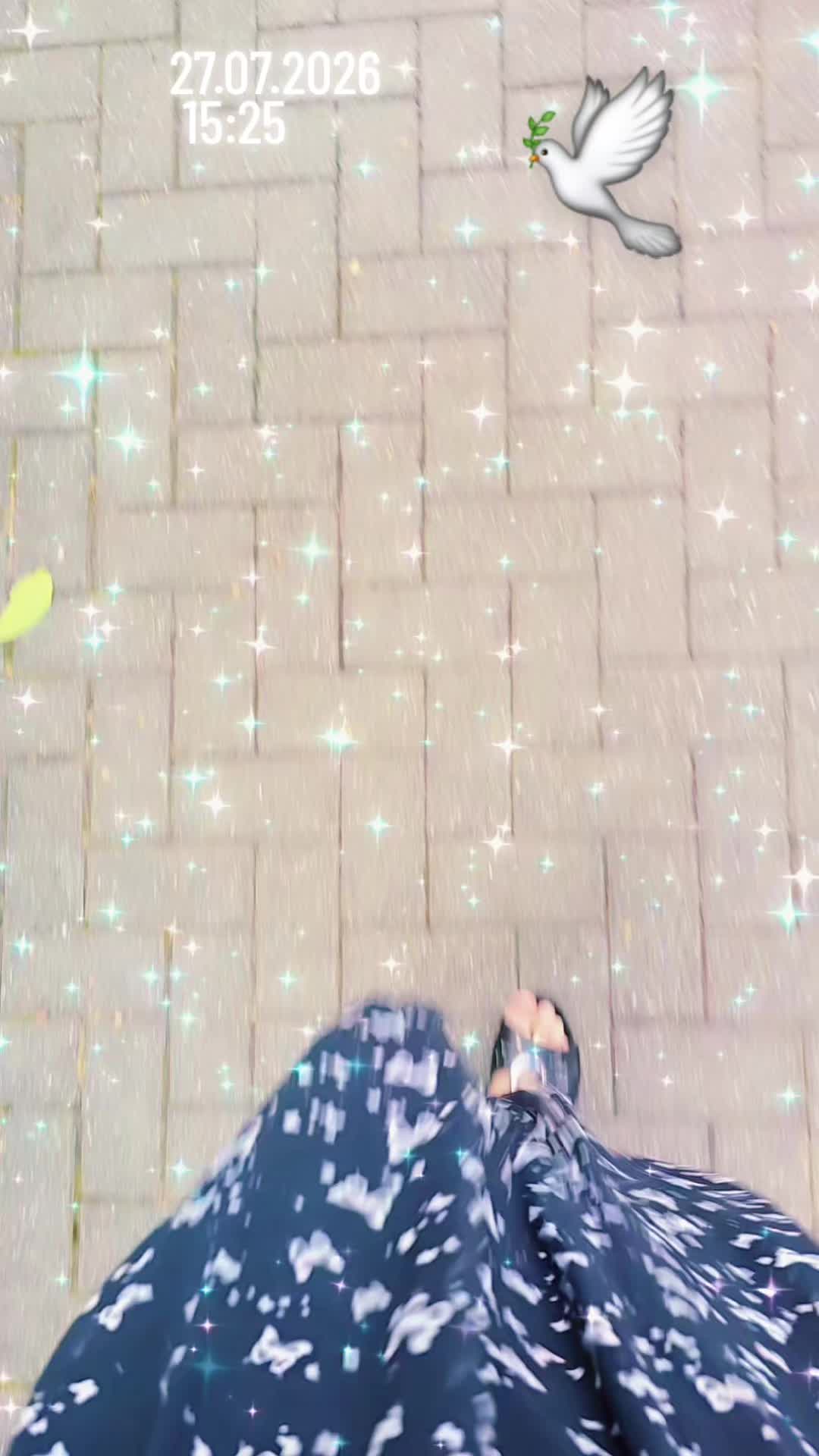 @☆𝐄𝐛𝐑𝐮 𝐃𝐞𝐒𝐓𝐚𝐍~☆🌹👸