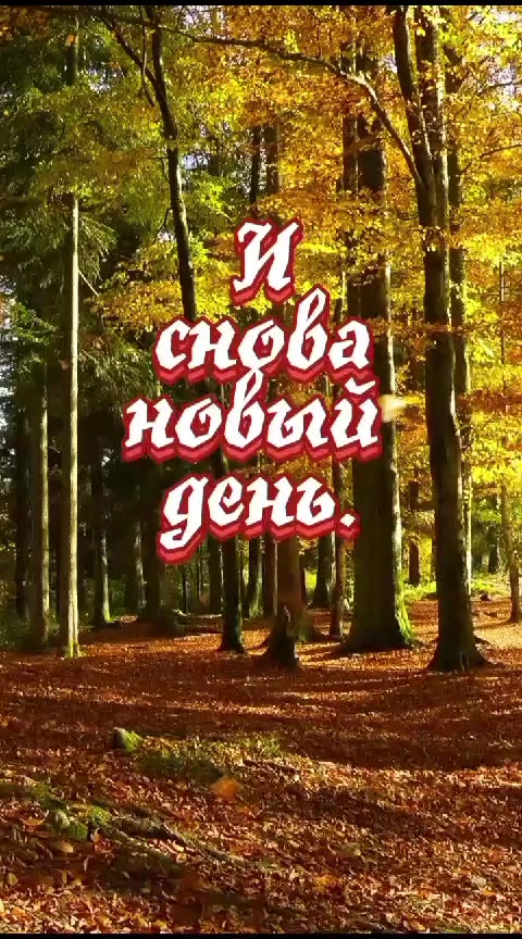 @ИРИНА