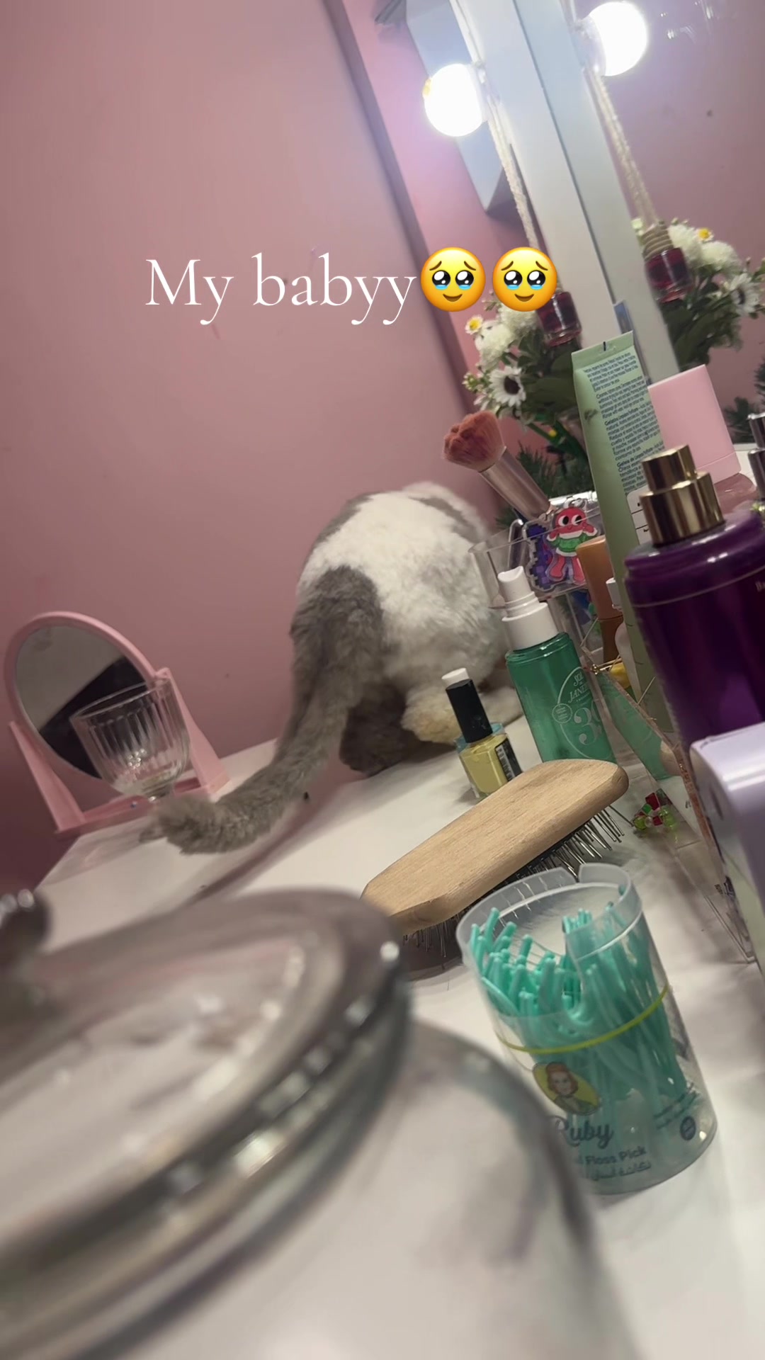 @ℒ𝓊𝓃𝒶𝓇♍︎