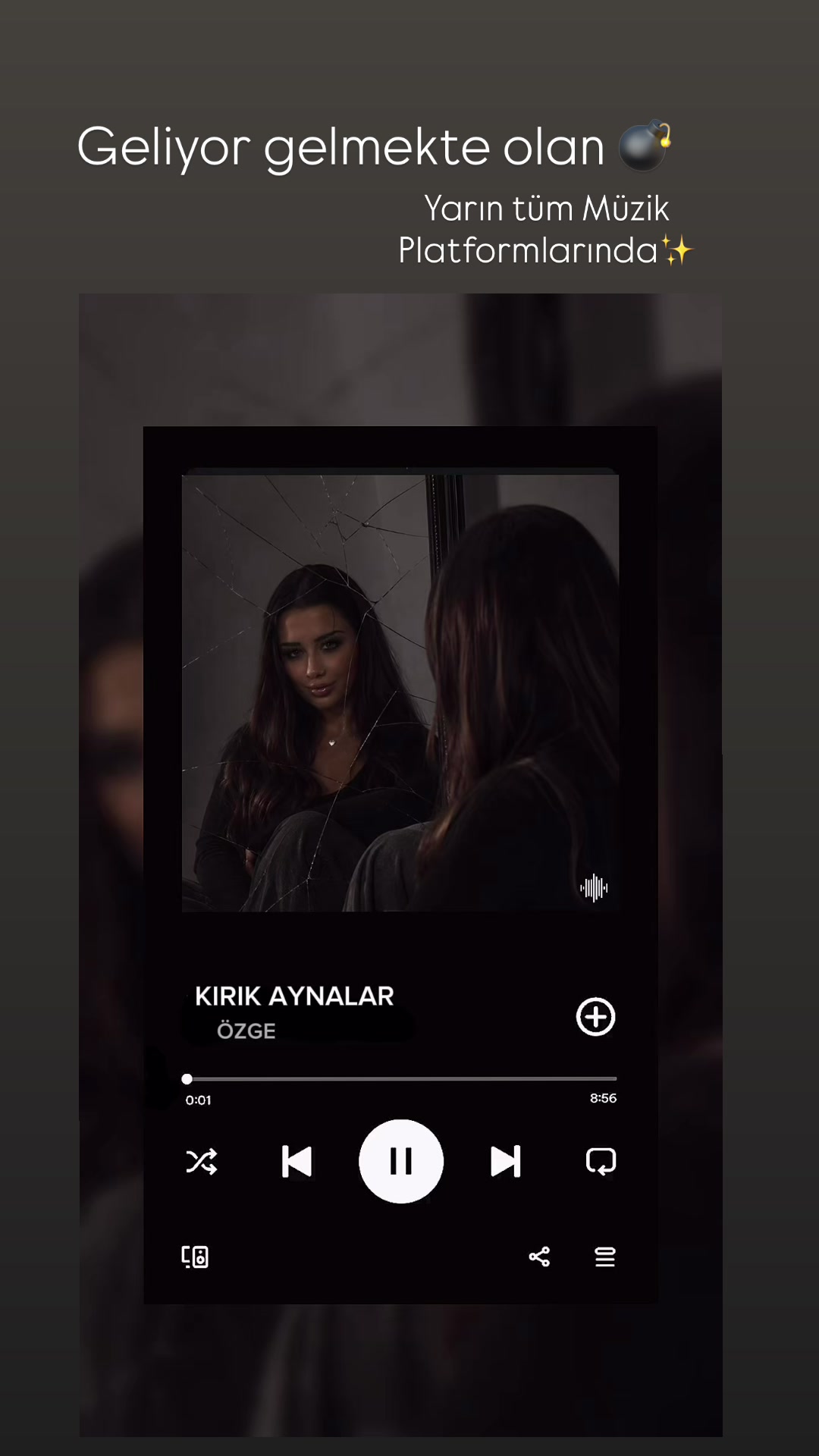 @&Ouml;zge Kılı&ccedil; Ak&ccedil;akaya