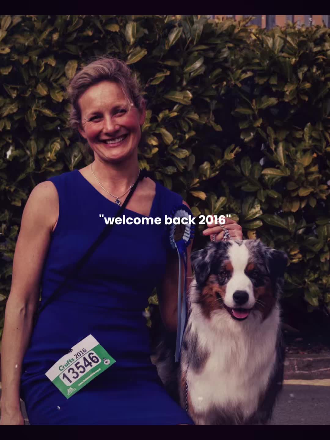 @thedogsportscoach