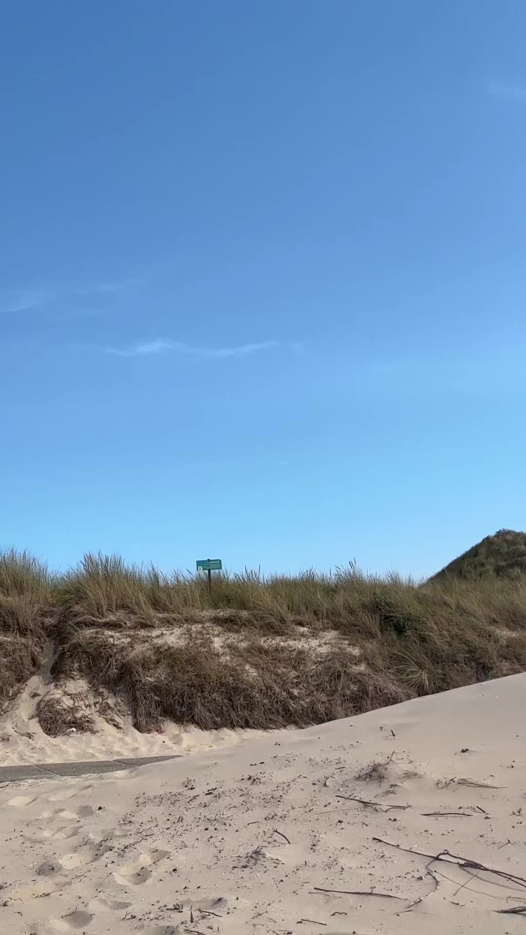 @aardappelschijfjes1