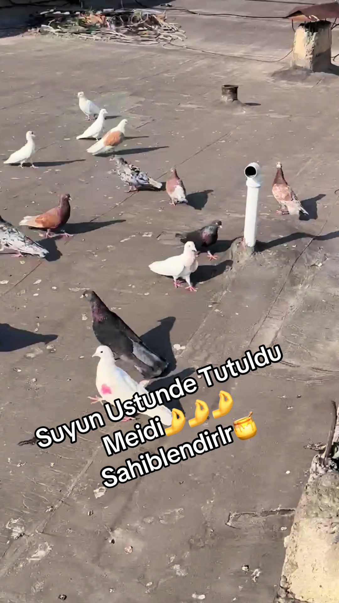 @XAM_BAZ🤘