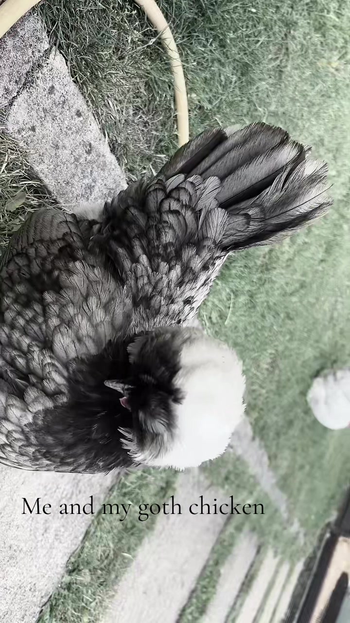 @๐ ๐ ๐ ๐ ๐ ๊จ