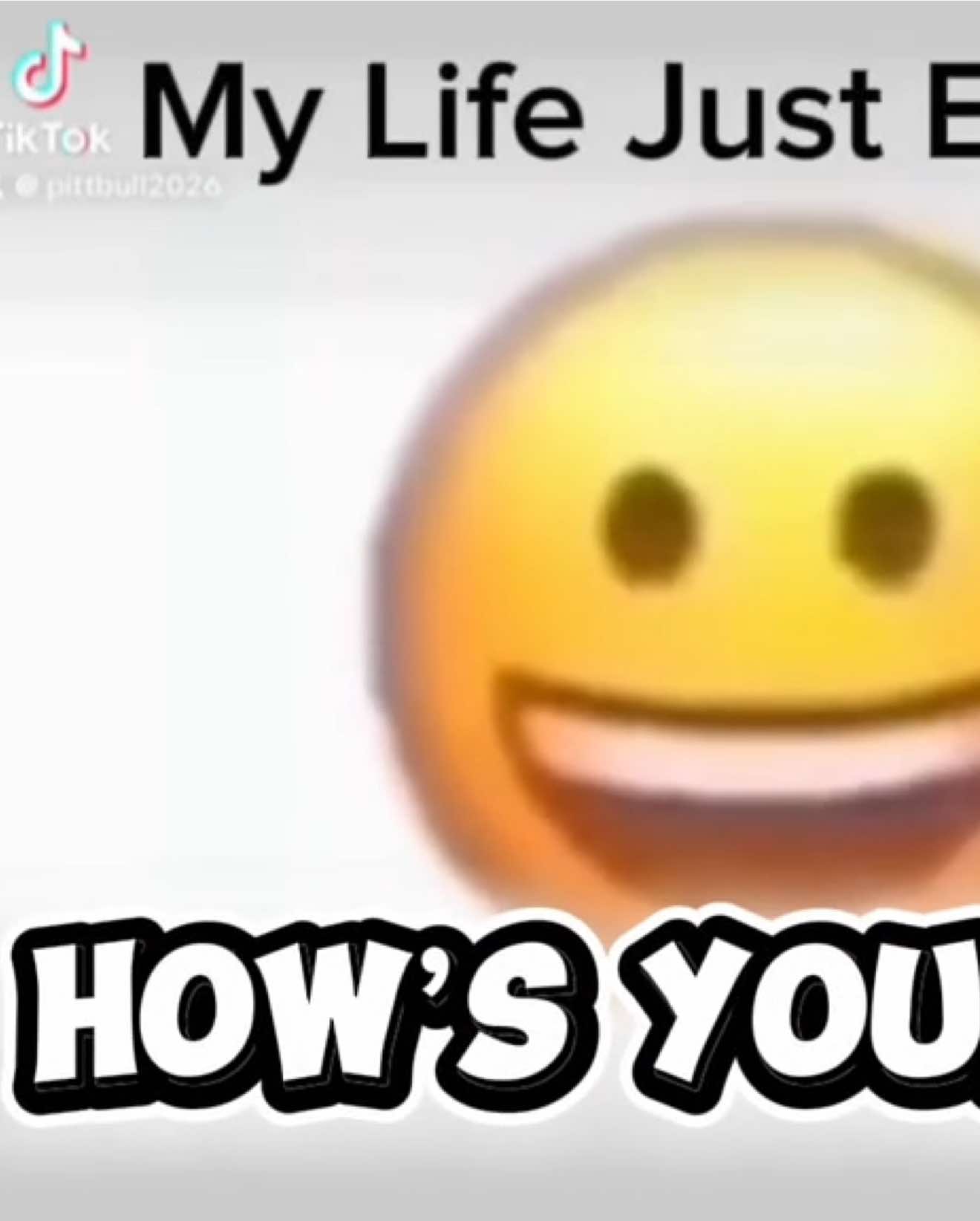 @Pittbull