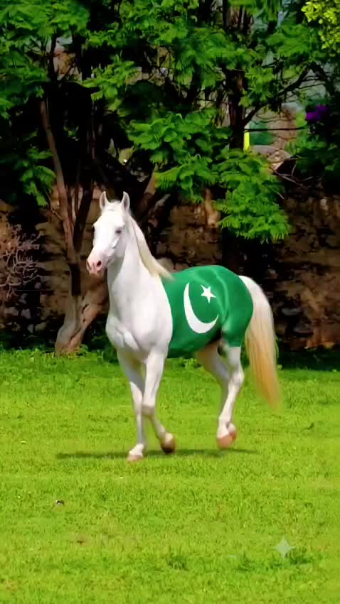 @Tahir Khan