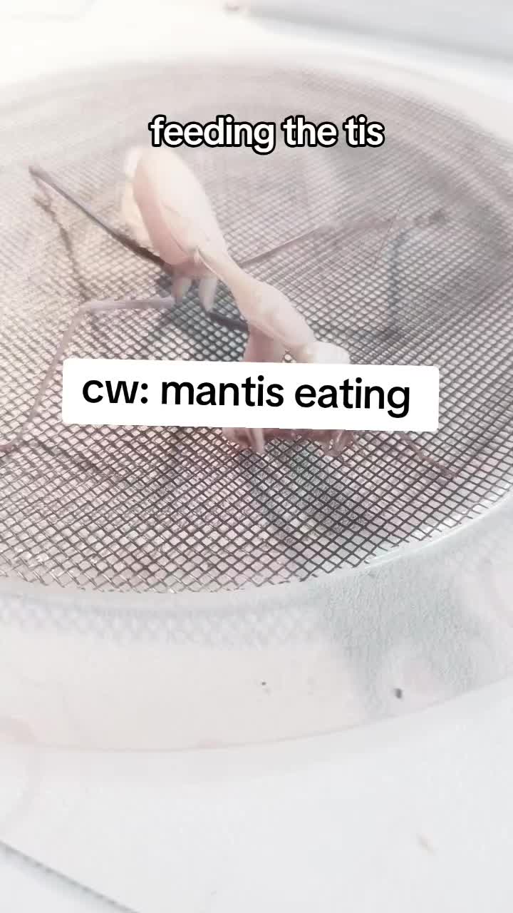 @๐๐๐๐โฟ๐