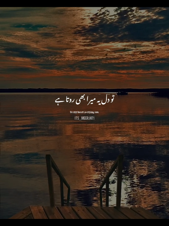 @Its_Meerjat