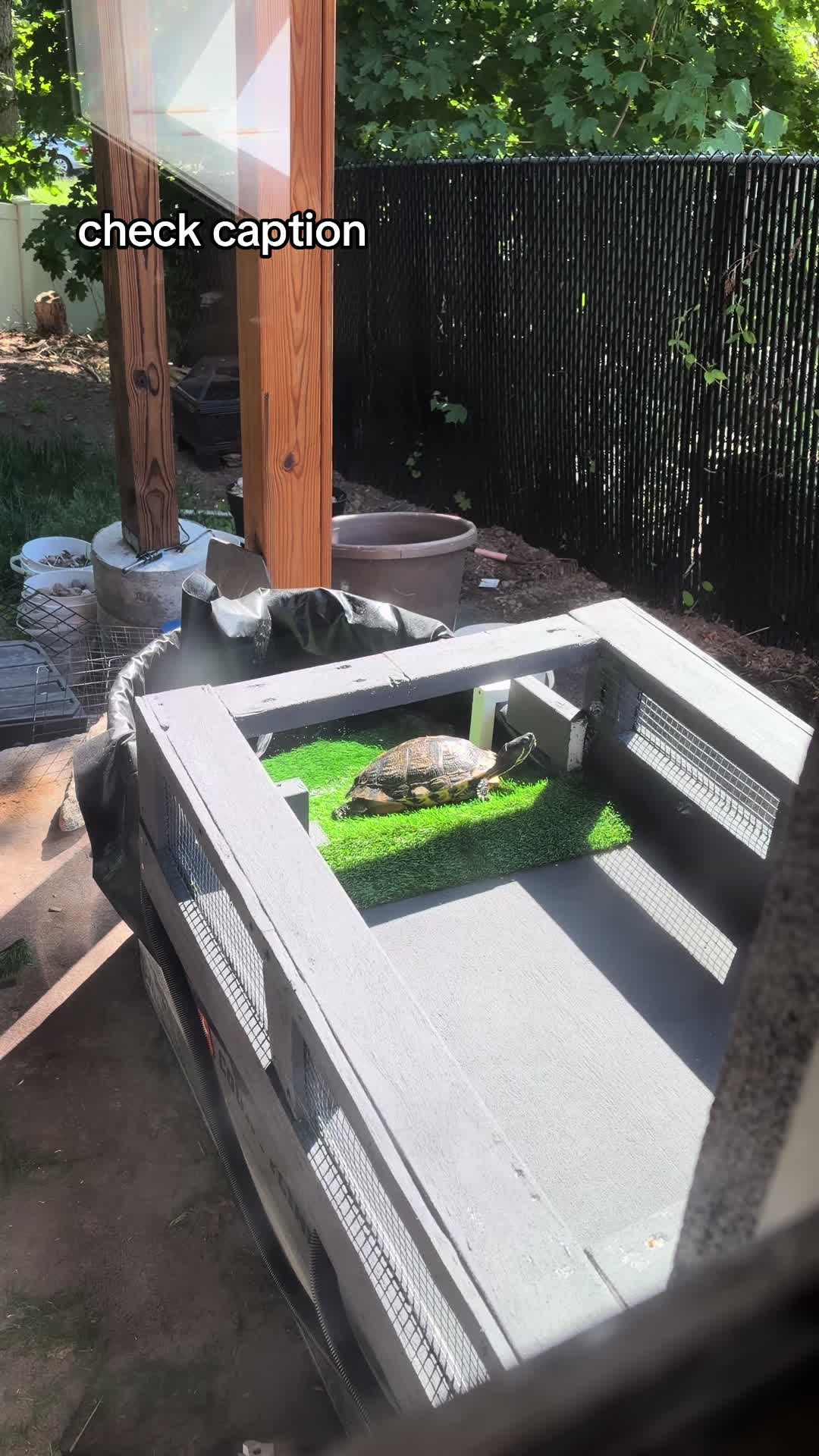 @layla🦎🍃