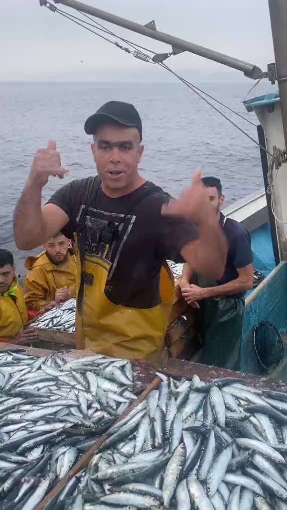 @🚢hàmìdø⚓⚡Ræysë🐬🏴☠️