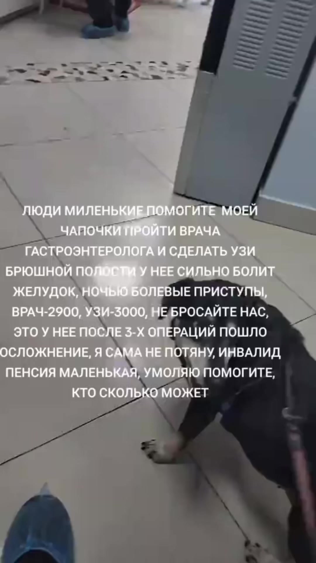 @Хаку 777