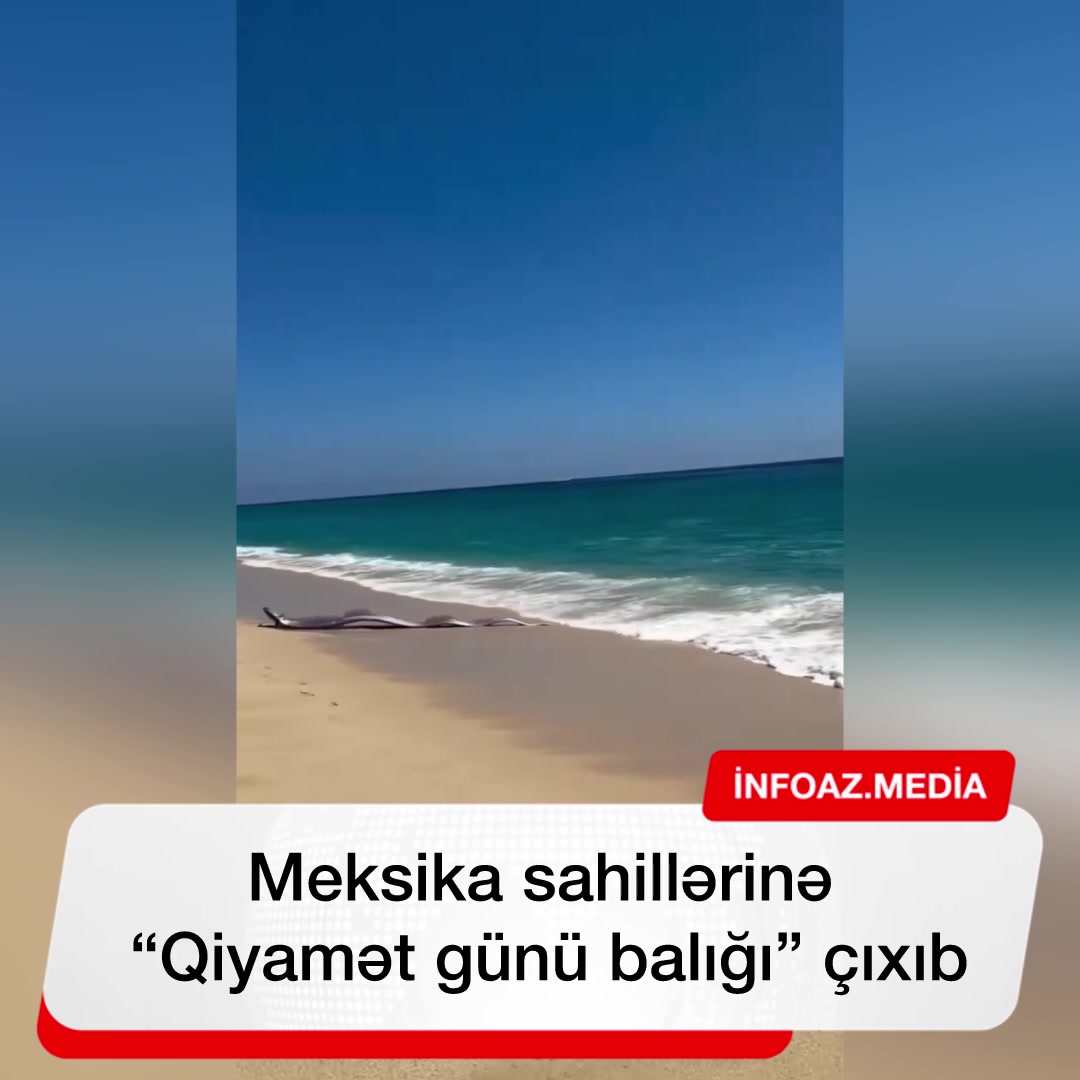 @İNFOAZ.MEDİA
