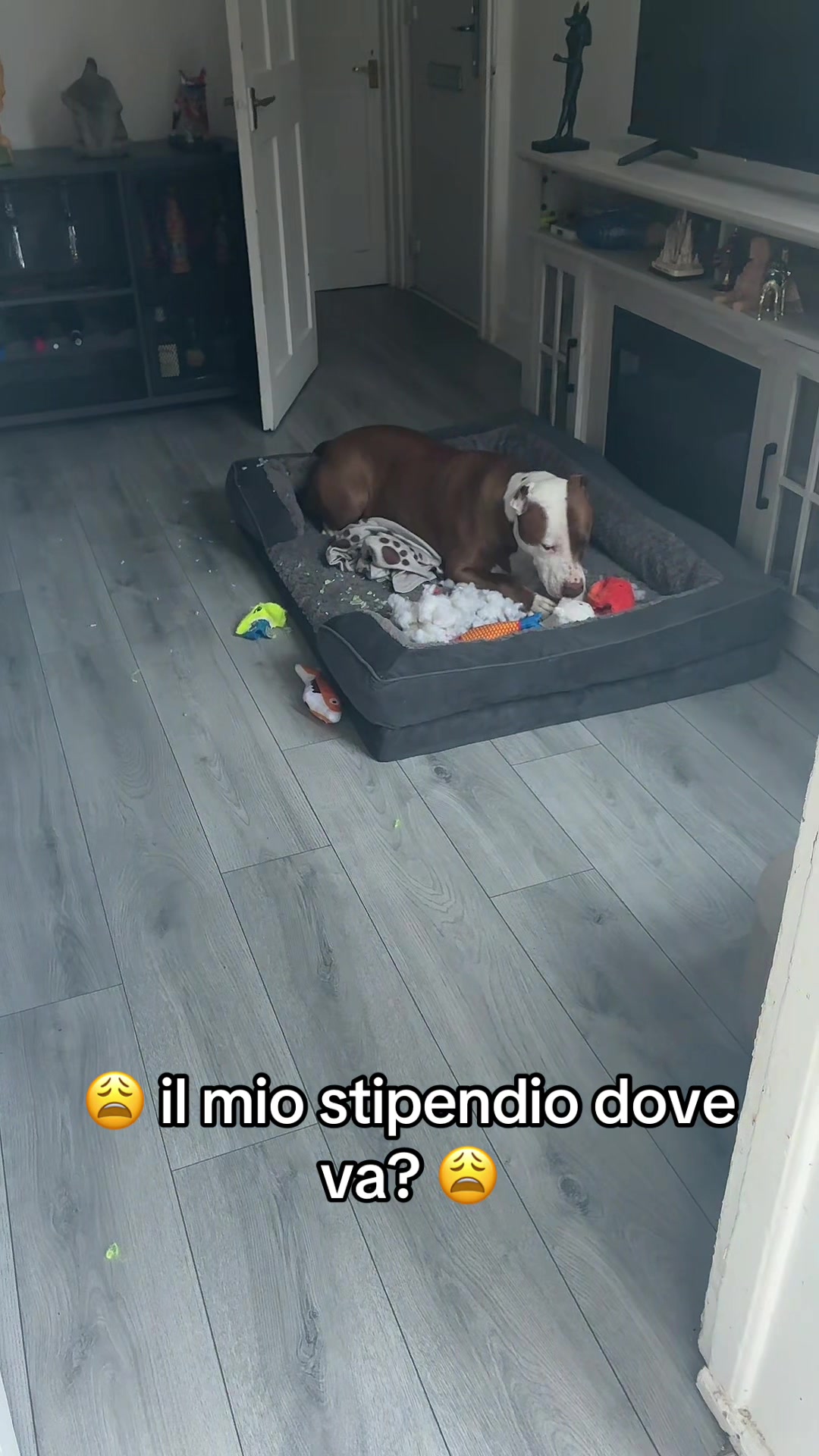@Emanuela & Pablo
