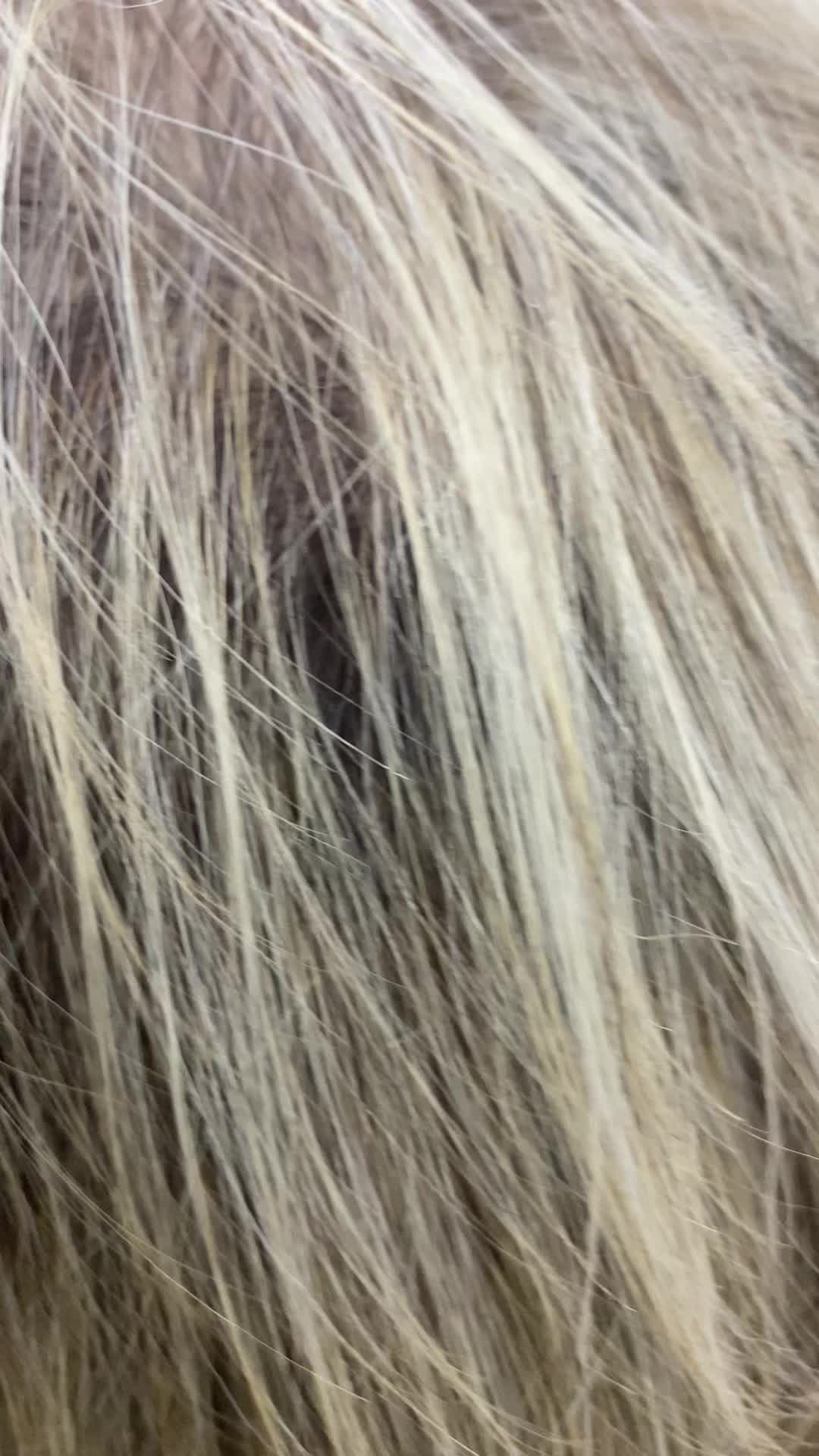 @Ilbellodelledonne