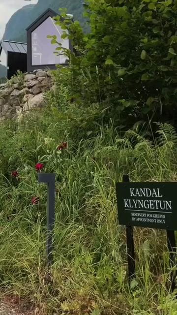 @Mansi Rani 🇳🇴