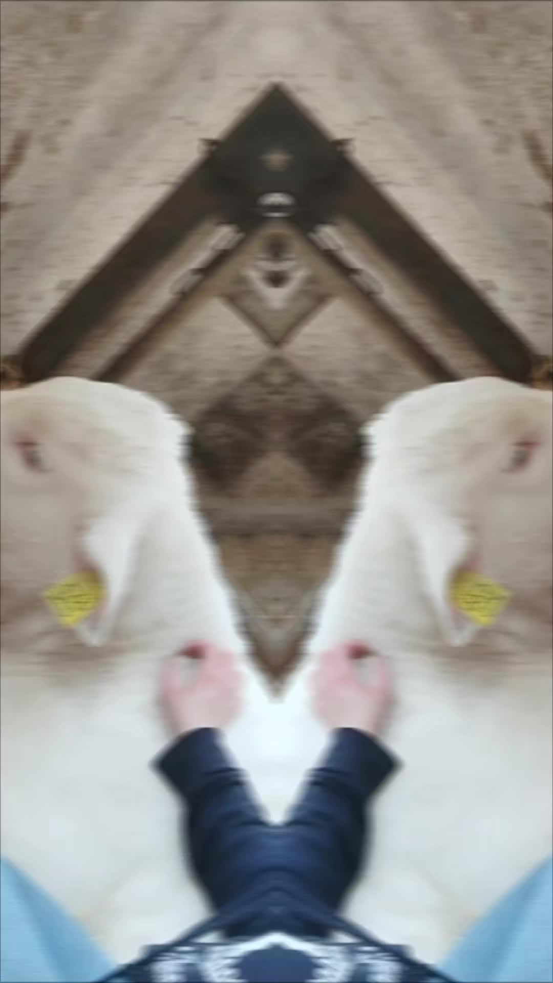 @brinasahobby