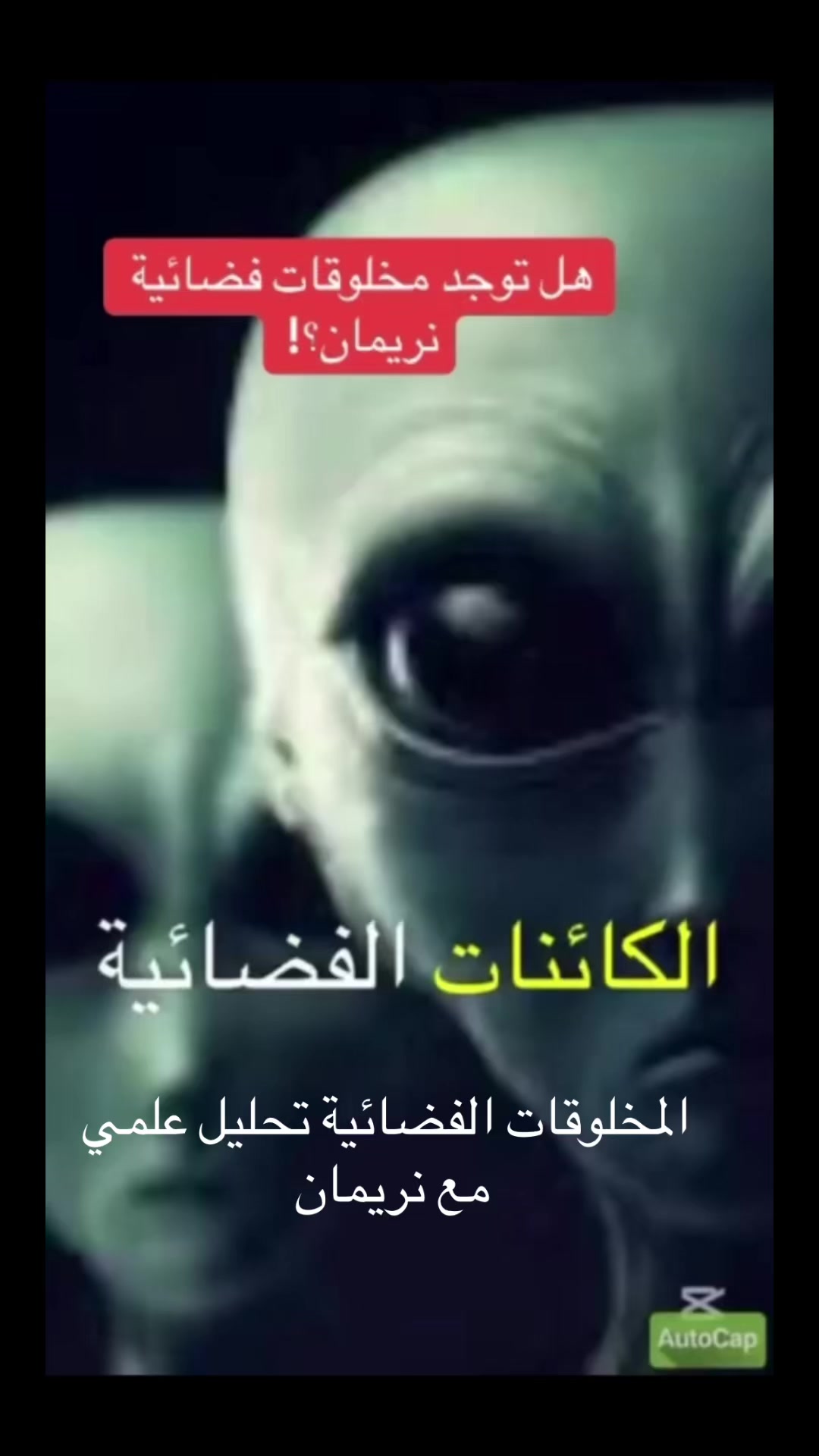 @باحثة وإعلامية أمينة نريمان