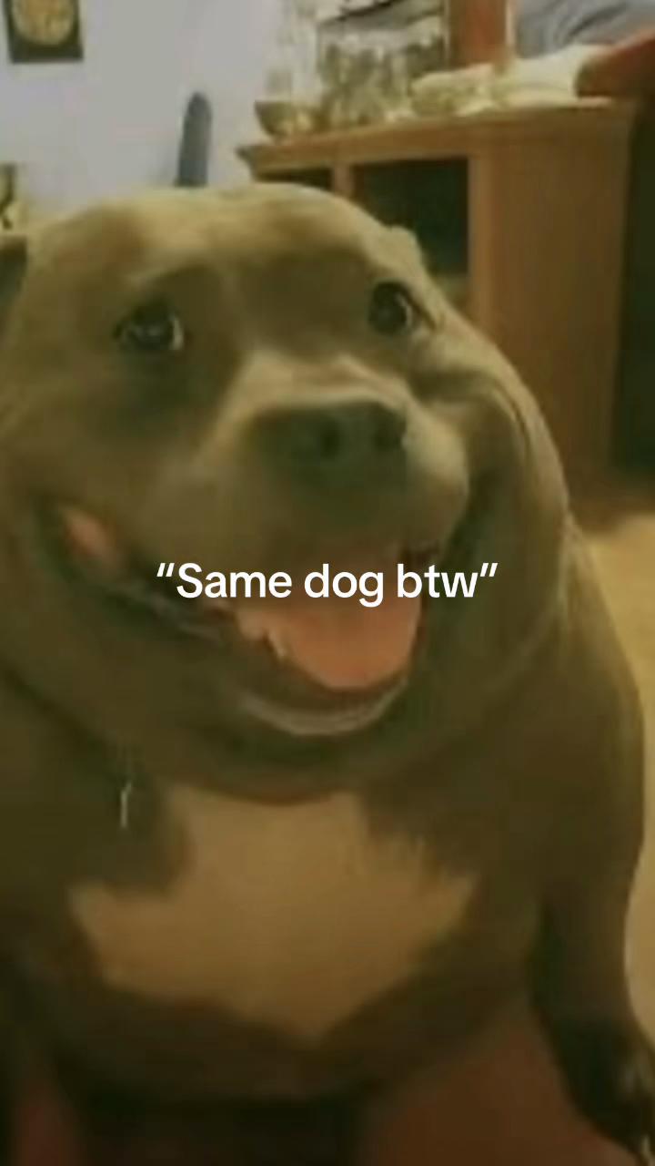 @Konegan