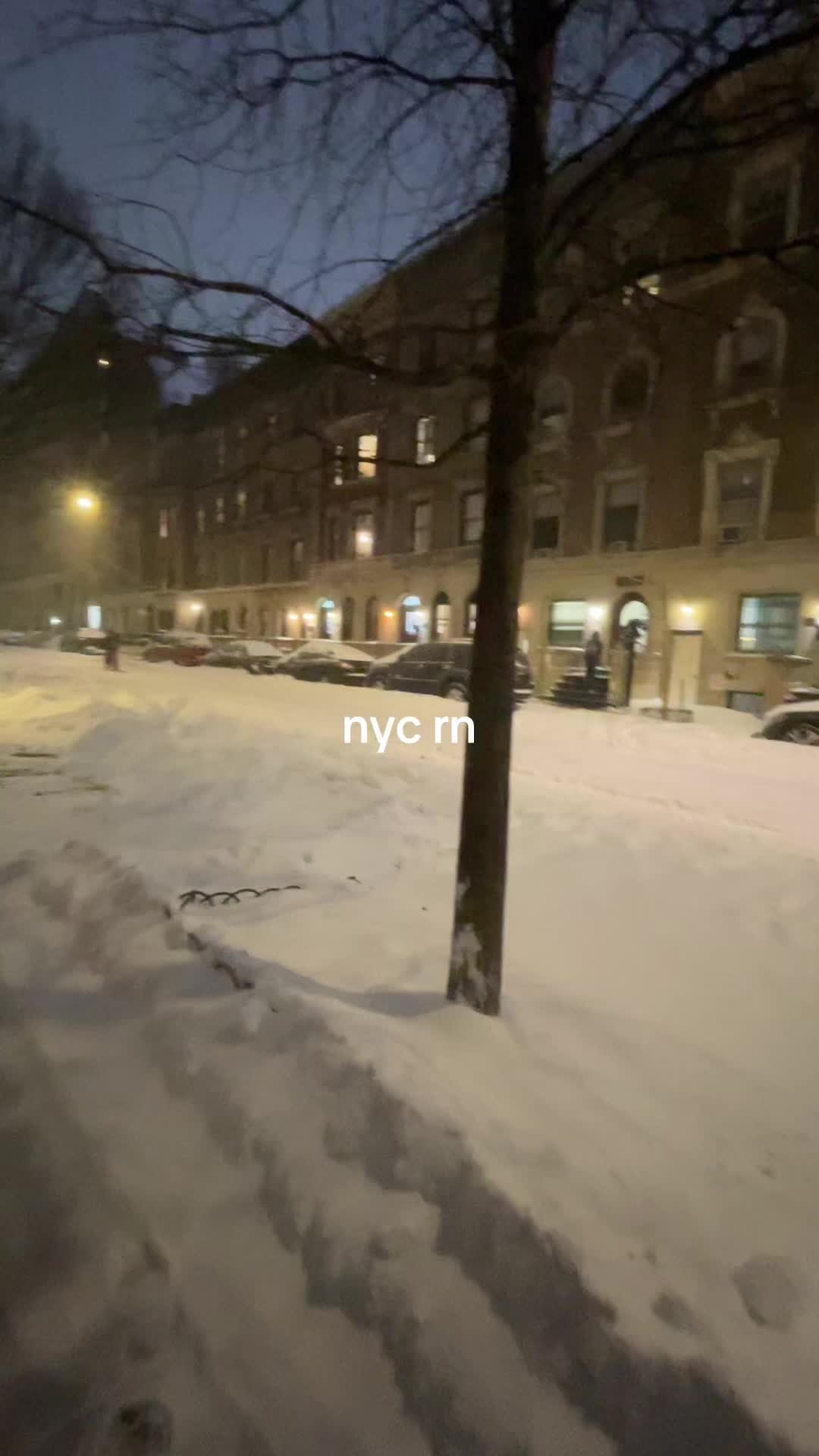 @aya