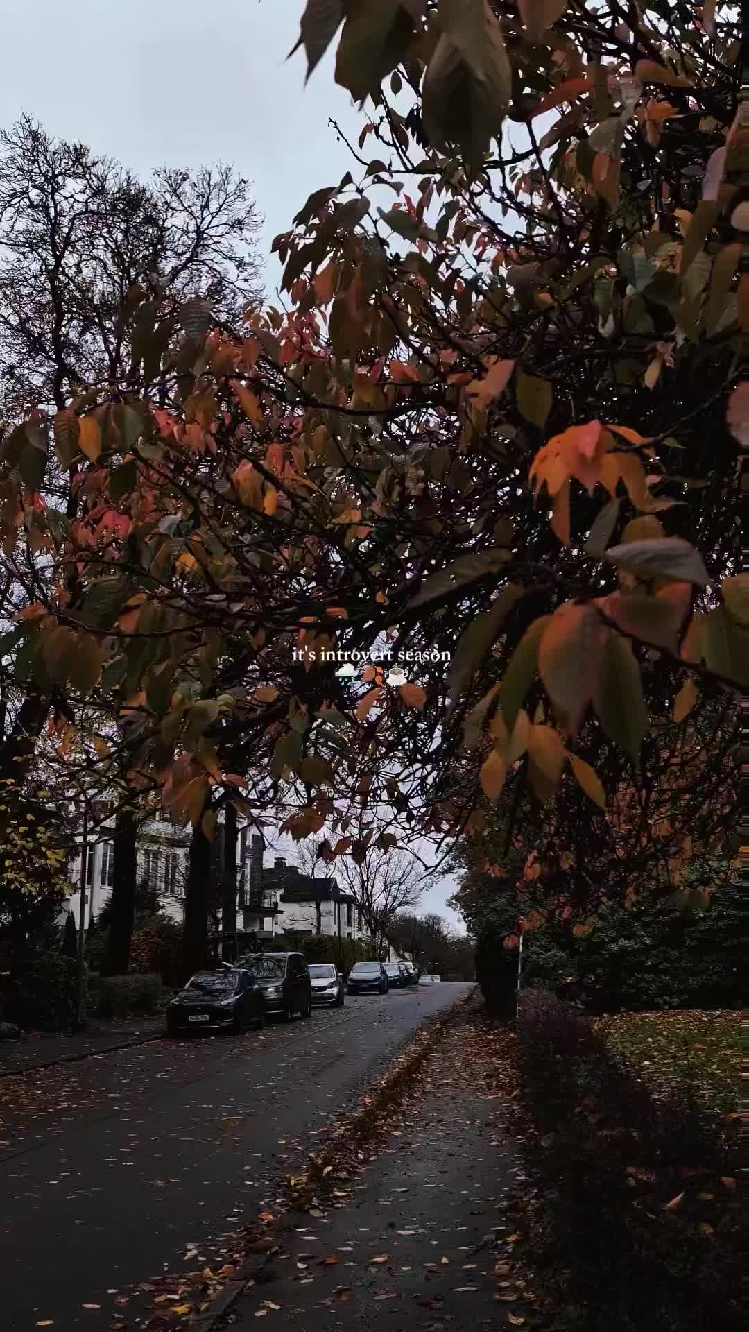 @anni 🌧️