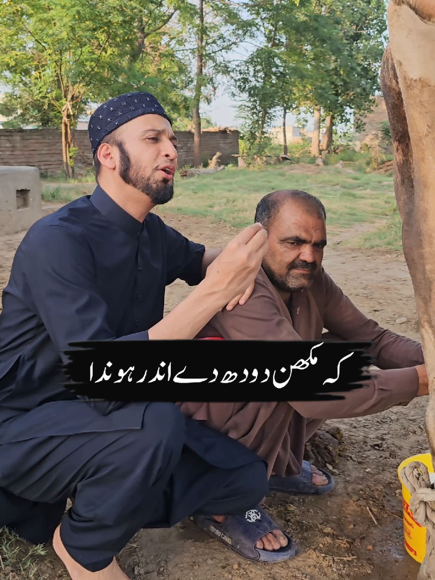 @Sultan Ateeq Rehman ✅