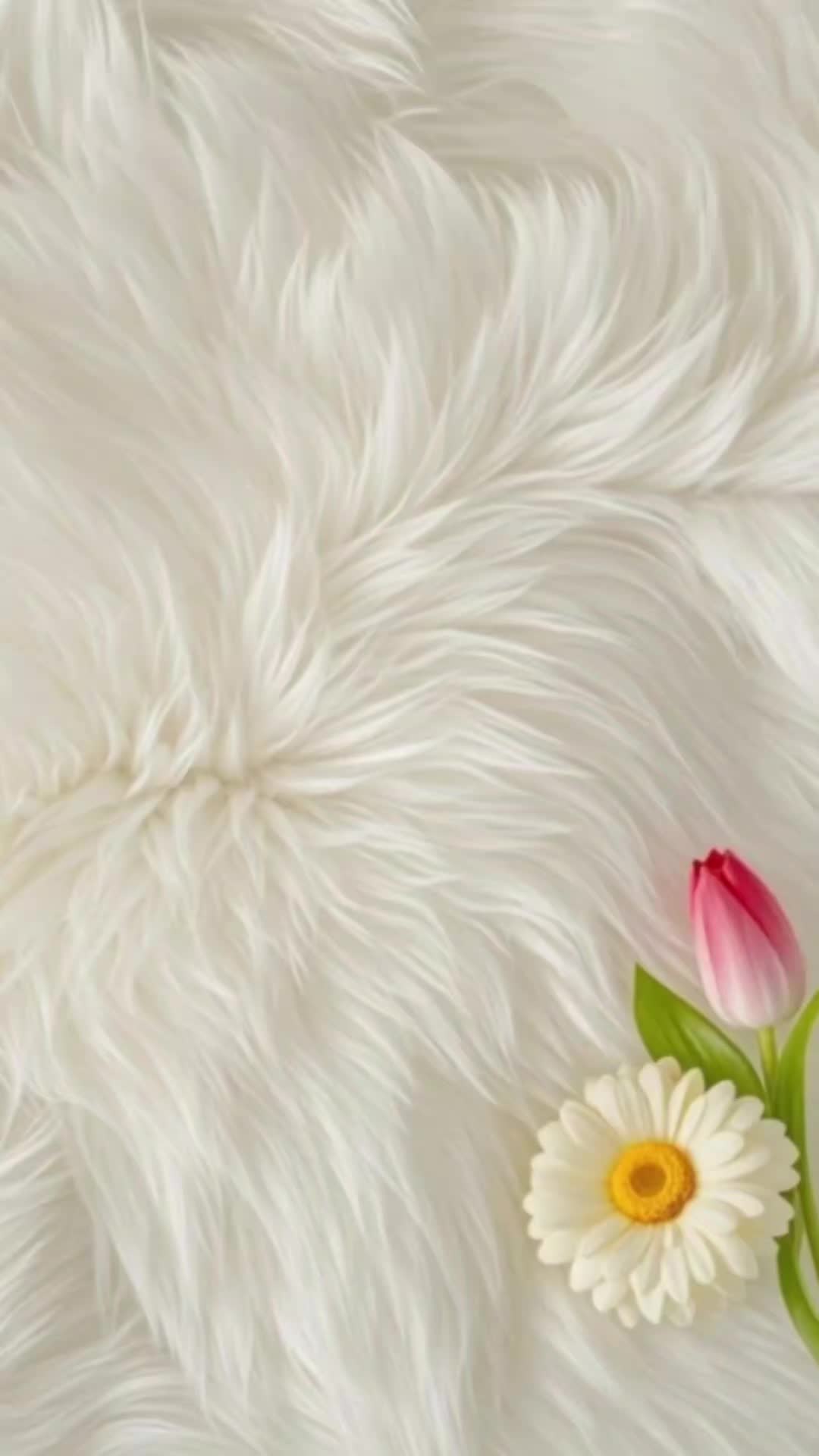 @Nadeem