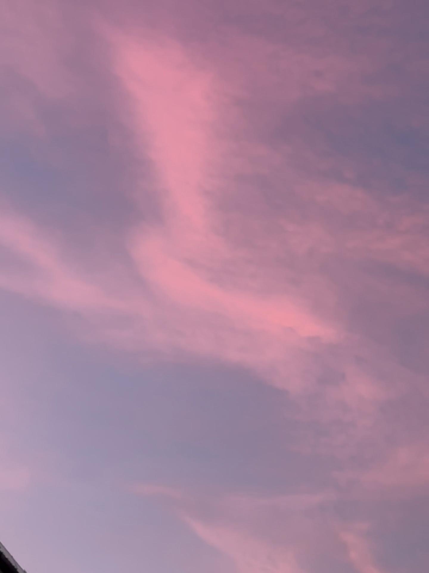 @𝙿𝚞𝚛𝚙𝚕𝚎🔥