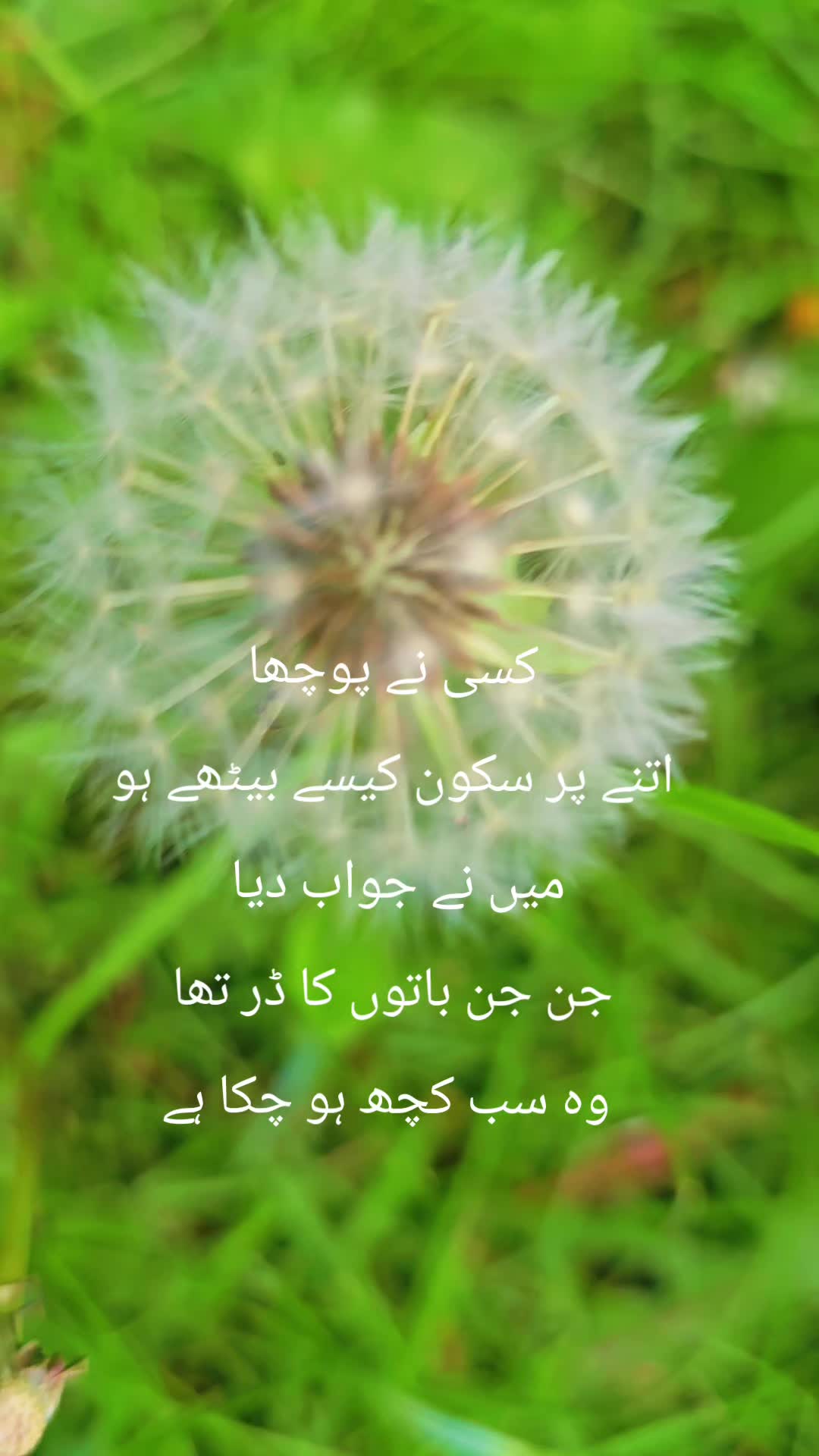 @BUSHRA KHAN