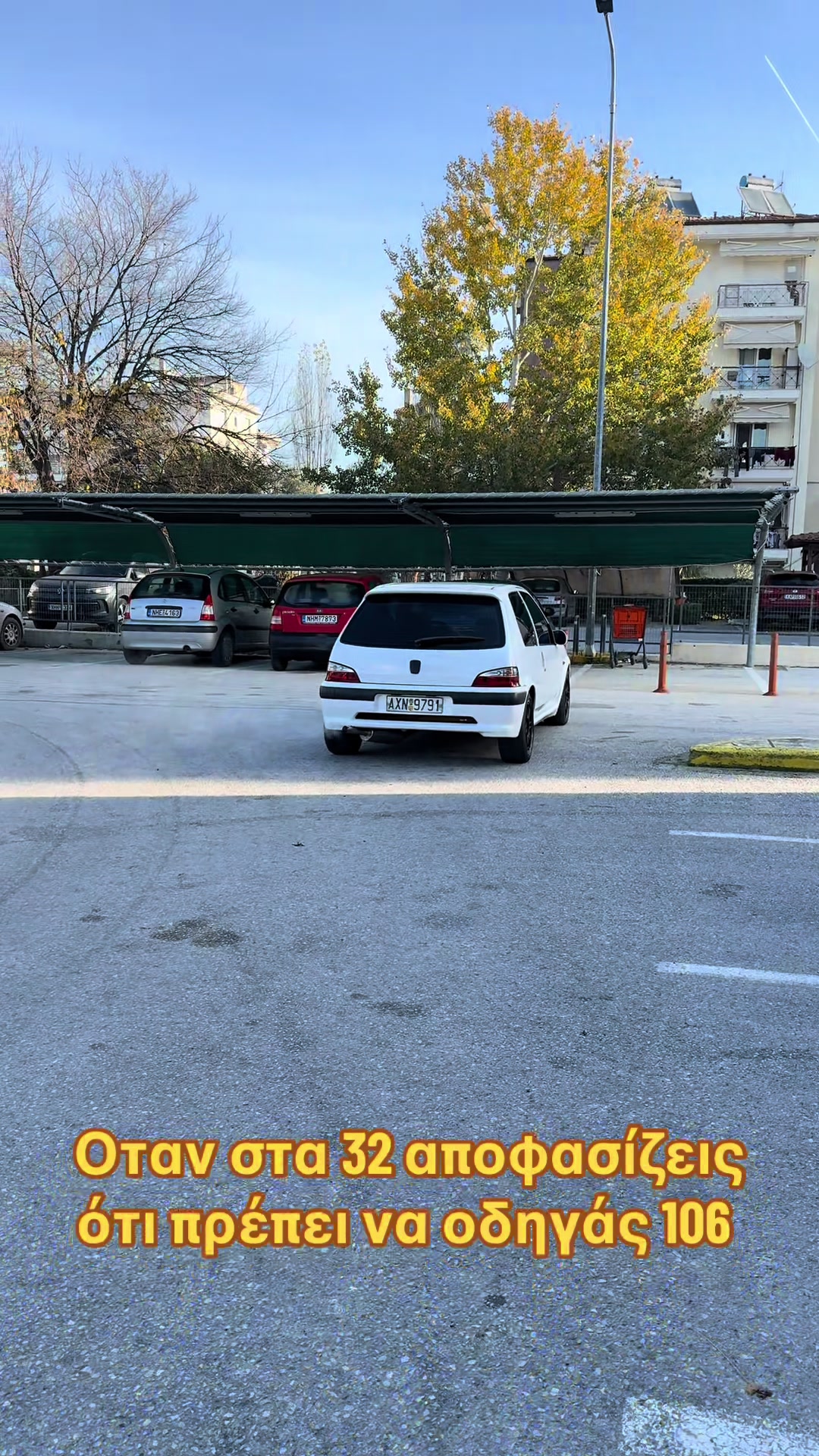 @Πεδινός Βαγκιτης
