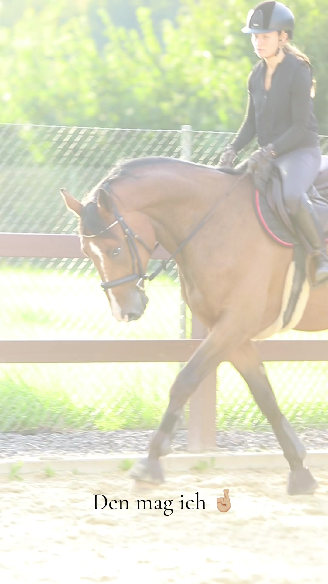 @La.Dolce.Horses