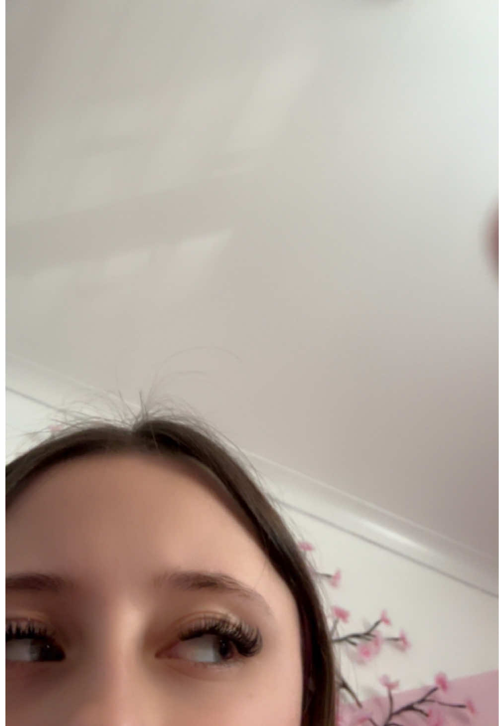@lilyspam🩶