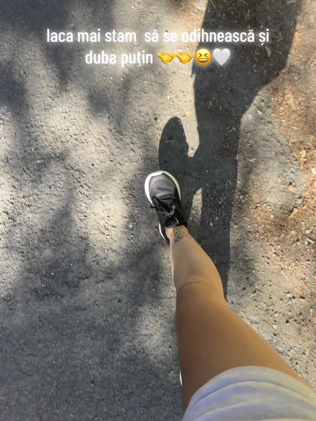 @Maia