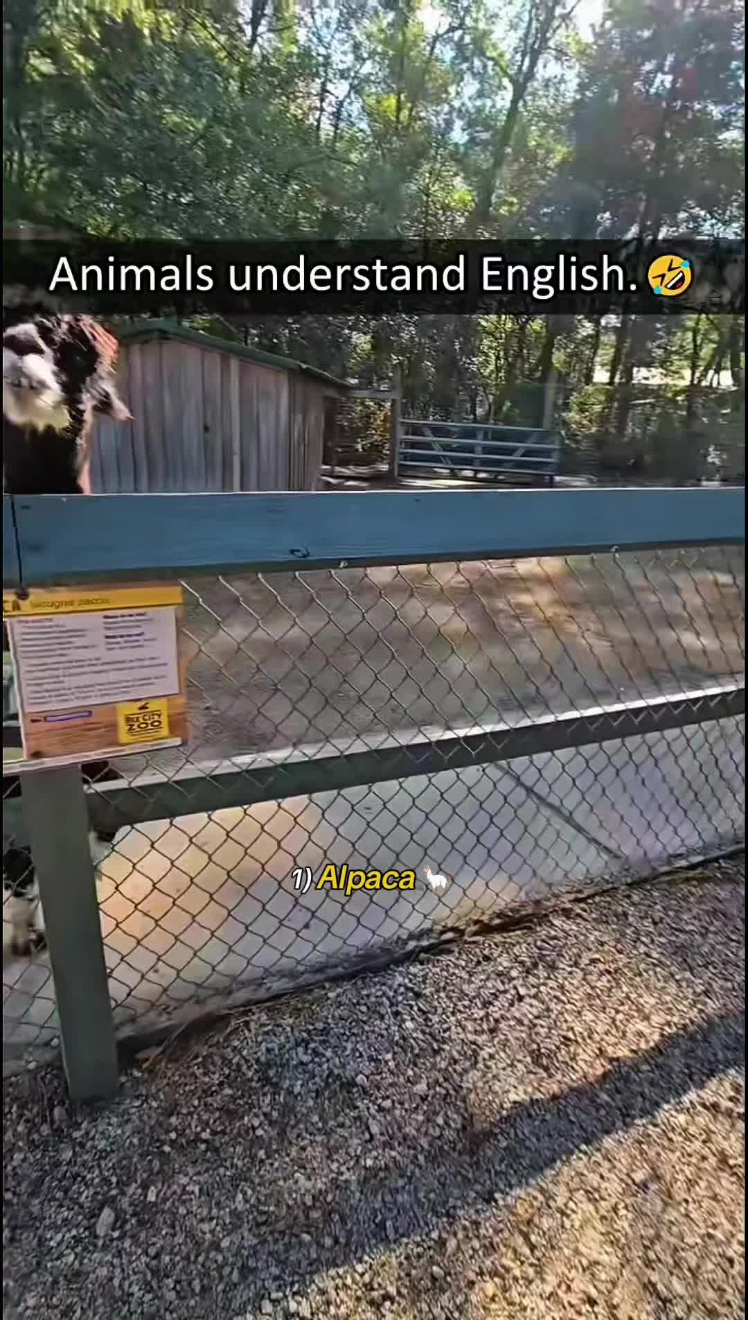 @WildwonderzZzz