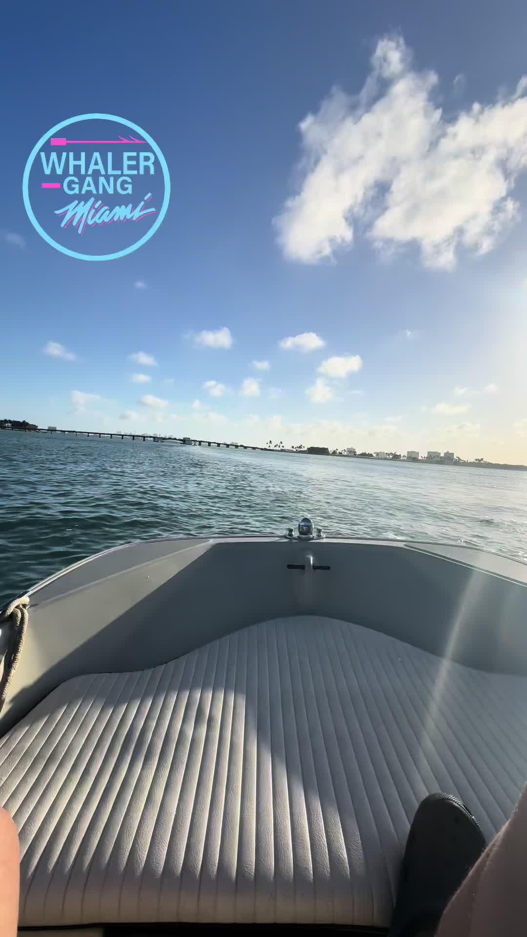 @WhalerGangMiami