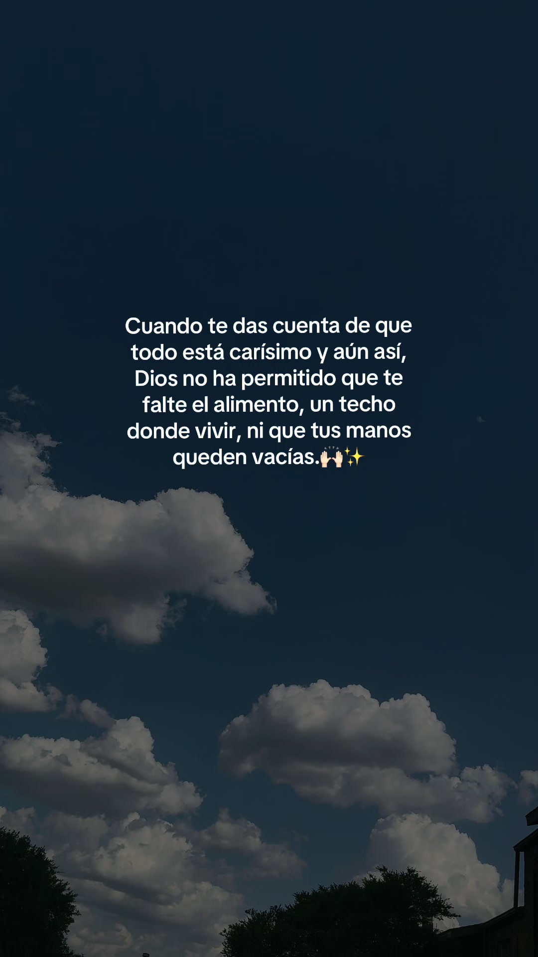 @🌻✨𝐸𝐿𝐼𝒵𝒜𝐵𝐸𝒯𝐻✨🌻