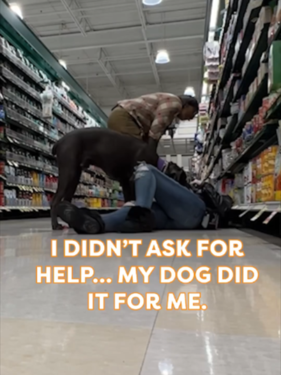 @Go Fetch