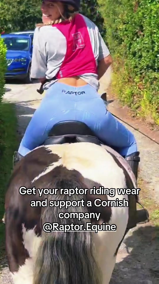 @horsetiktoc
