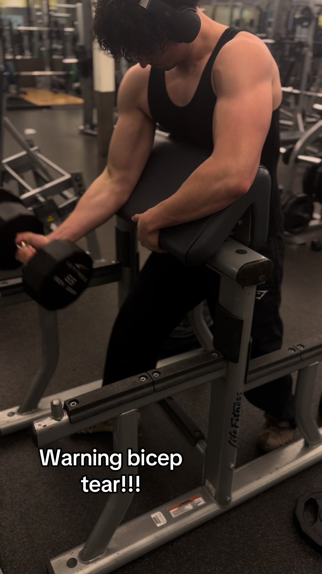 @shredzzer