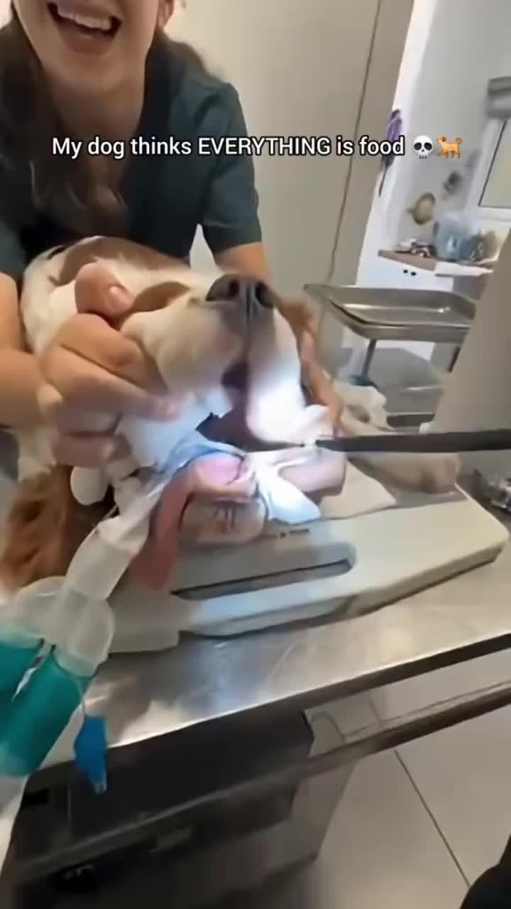 @Funny Cute