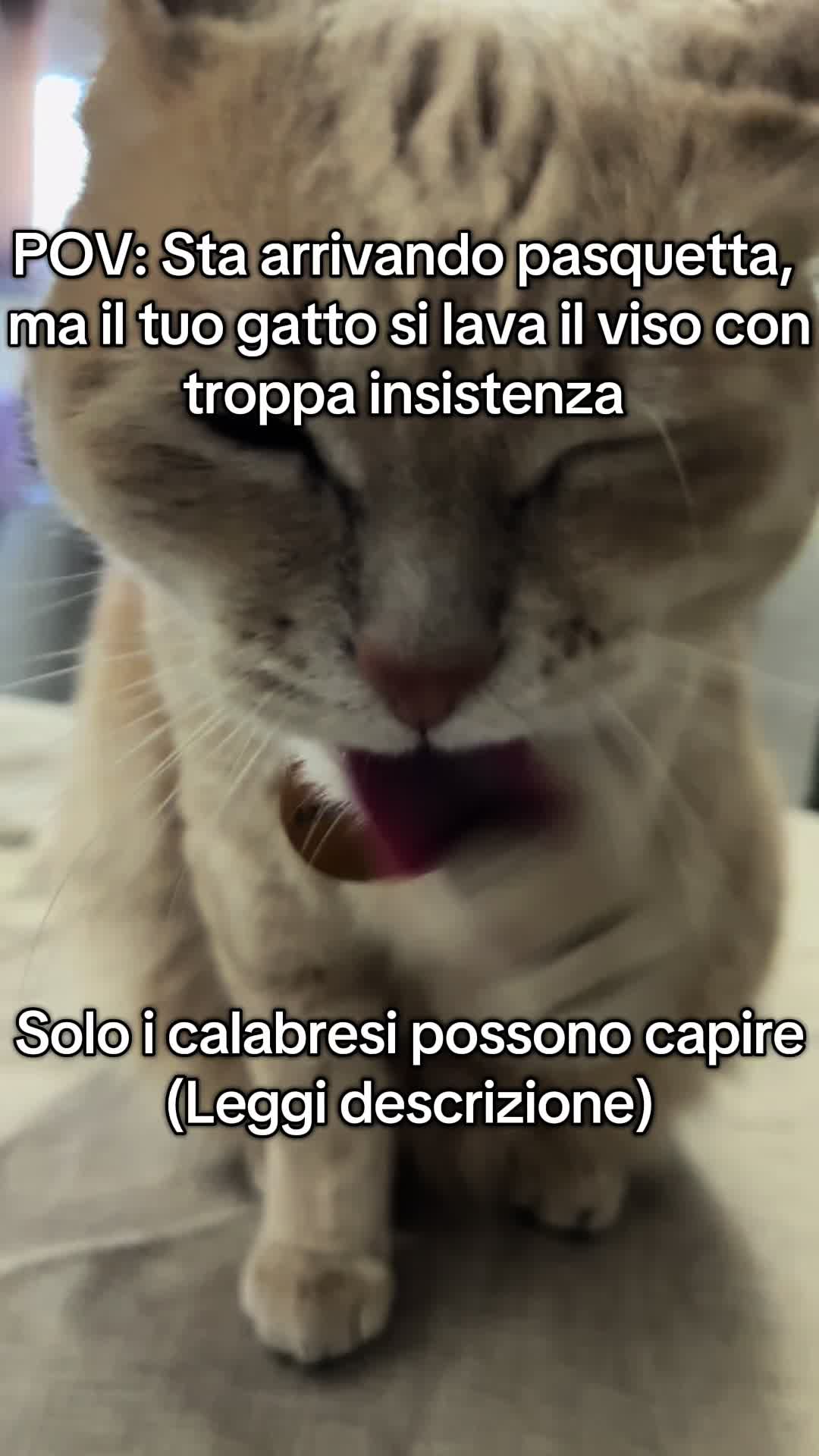 @Ciquetinho