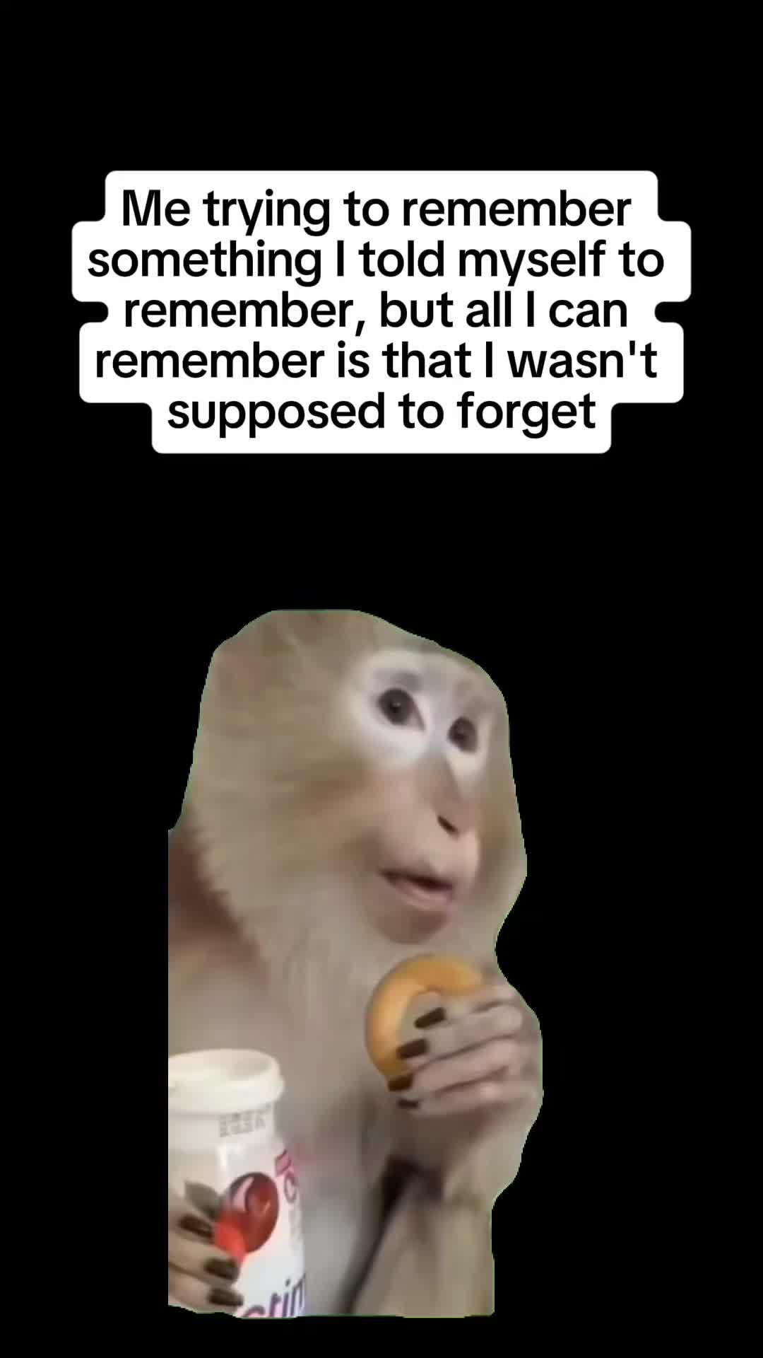 @YaniQuinnThe3rd