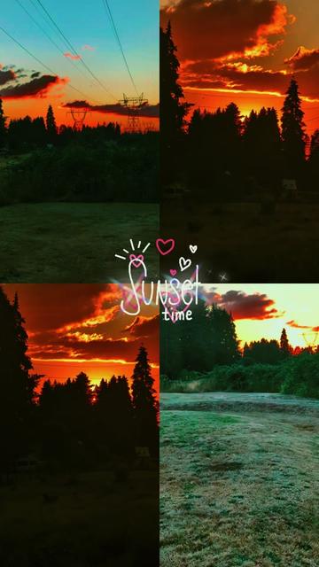 @Sharin&hearts;️🦌🌞🌛&hearts;️