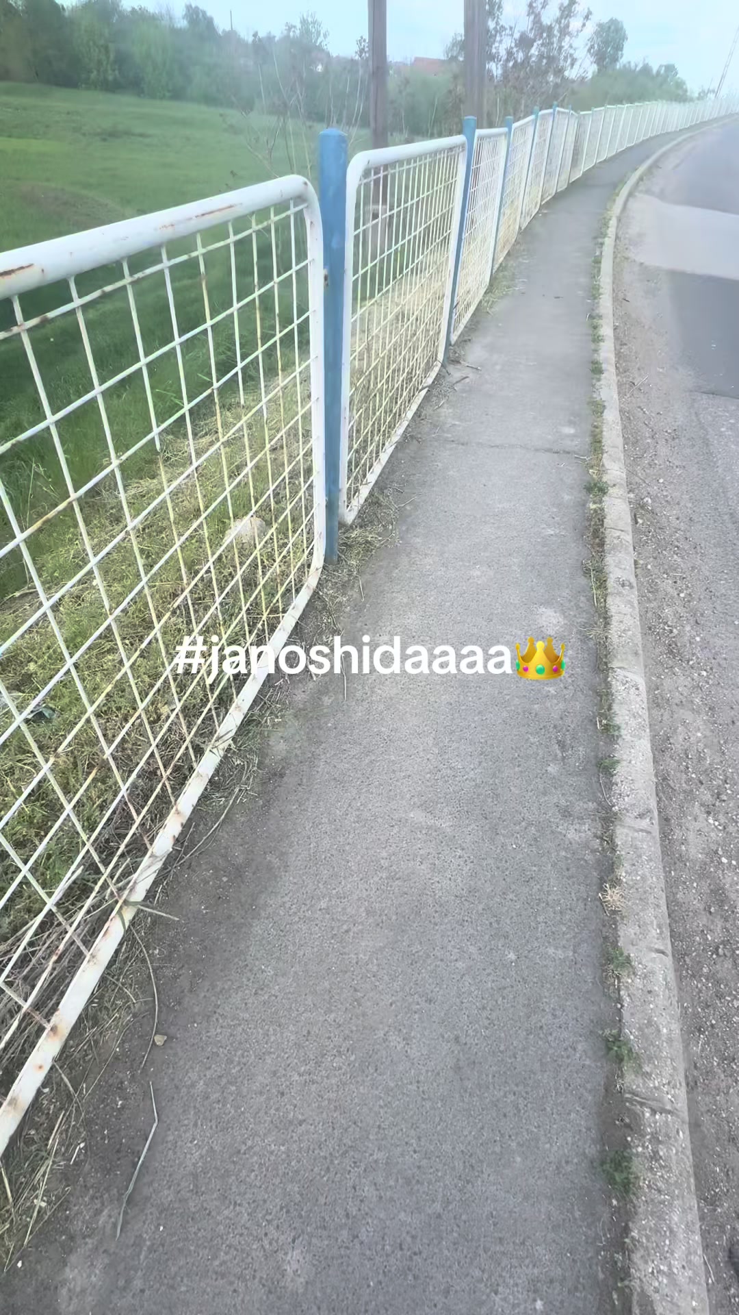 @丰jazminn_xyy
